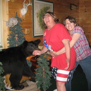 Meet your Posher, Nora